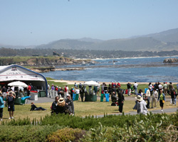 groupWtreeswater_horiz